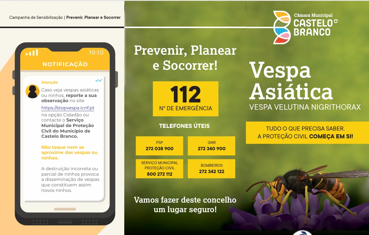 Vespa Asiática – Prevenir, Planear e Socorrer